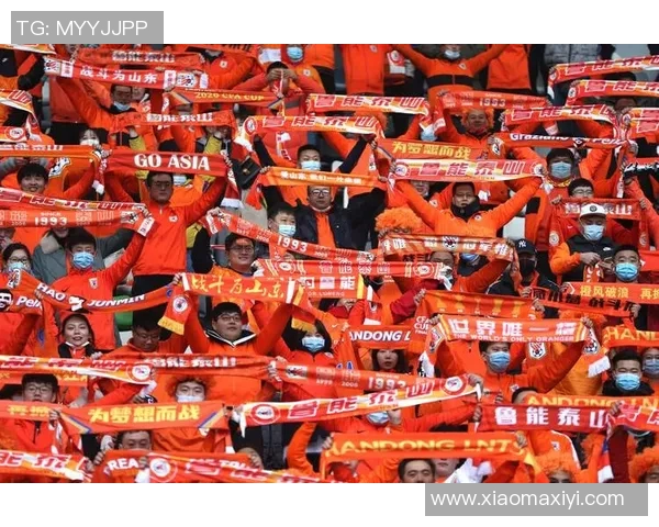 2011年鲁能对阵辽足精彩回顾与赛季分析 2011年鲁能对阵辽足精彩回顾与赛季分析