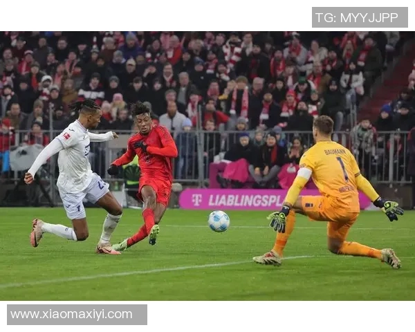 友谊赛激战汉堡与拜仁两队争锋展现足球魅力与激情