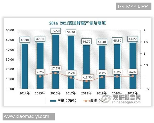 探索STIGA品牌的创新之路与未来发展趋势分析