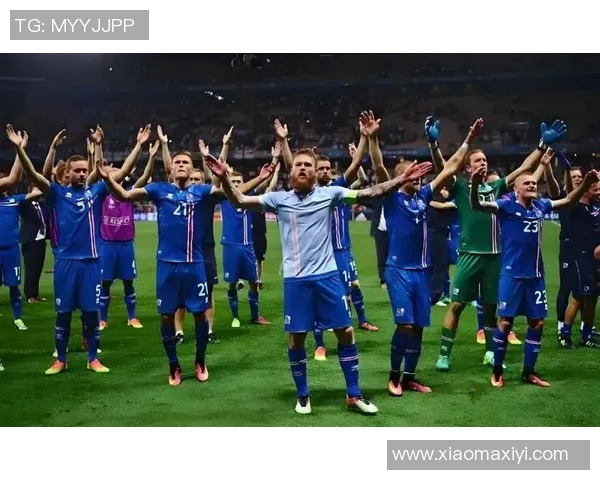 冰岛与法国足球赛结果揭晓双方表现引发热议